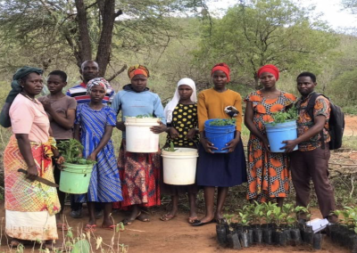 YLP Graduates Initiate a Tree Planting Project in Tanzania